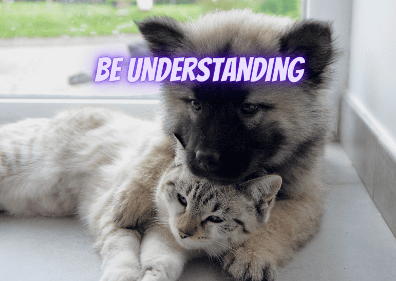 Be Understanding in an Uncertain Environment. 